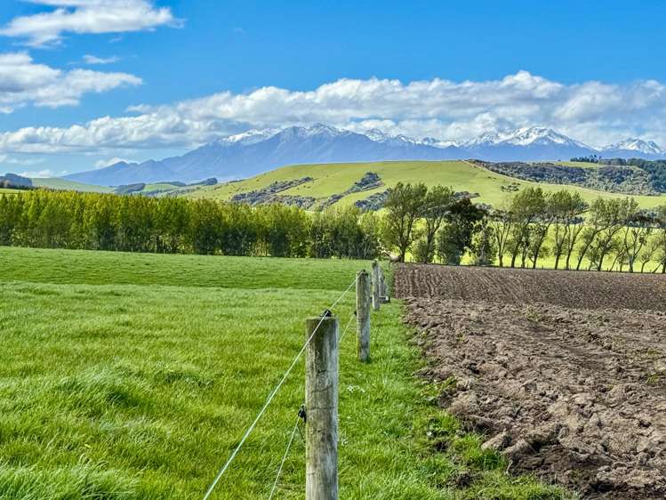 473 Clifden Gorge Road Eastern Bush_5