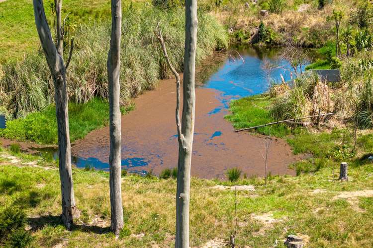 881 Whakapirau Road Whakapirau_76