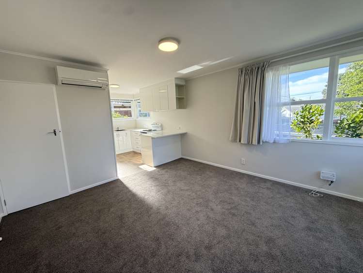 1/2 Hawthorne St Ellerslie_4