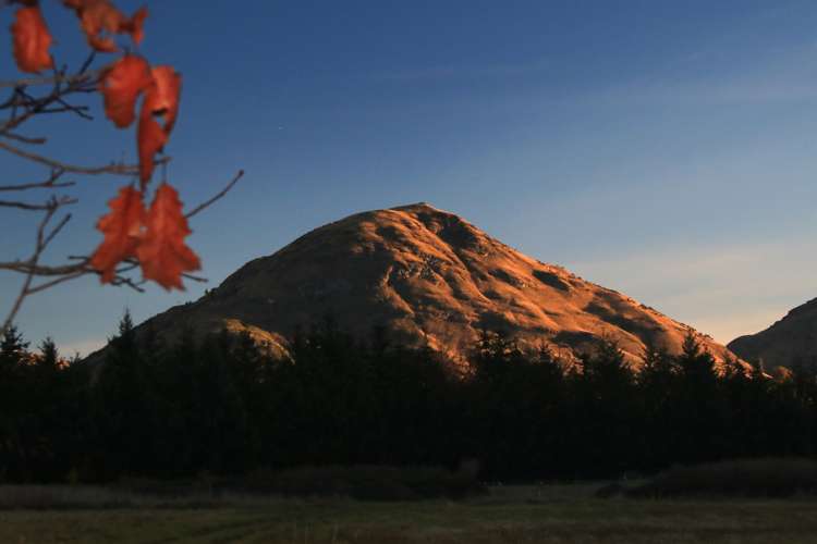 349 Lower Shotover Road Speargrass Flat_8