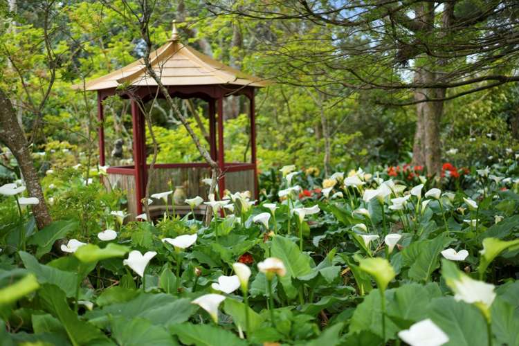 28 Parkhurst Road Helensville_12