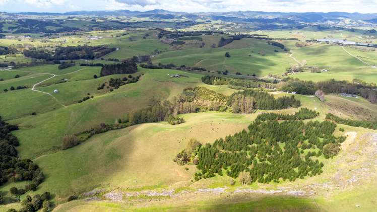 405 Mangawhai Road Wellsford_14