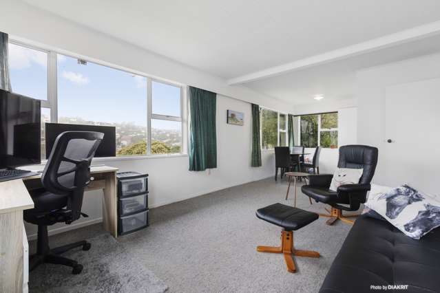 27 Rhine Street Island Bay_2