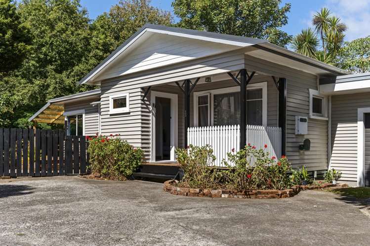 15a Sycamore Grove Lower Vogeltown_17