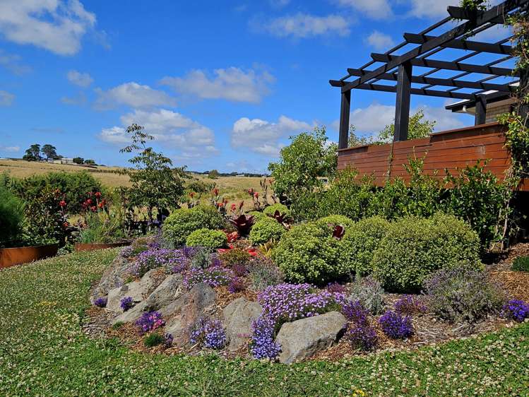 6C Goble Road Clarks Beach_24