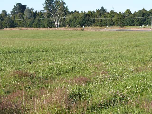 750 Rakahouka Hedgehope Road Mabel Bush_1