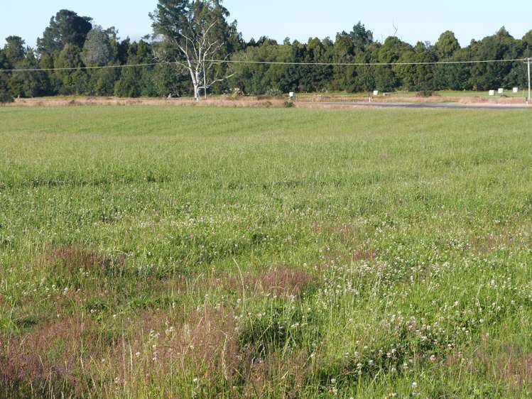 750 Rakahouka Hedgehope Road Mabel Bush_1