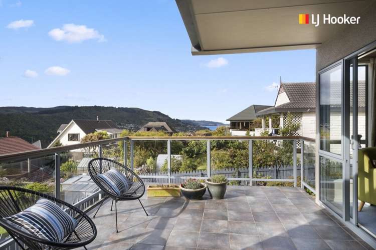 239 Larnach Road Waverley_6