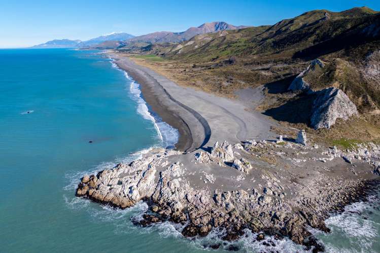 7611 State Highway 1 Ward_3