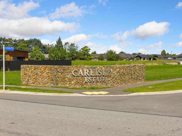 Carlisle Estate Tinwald_31