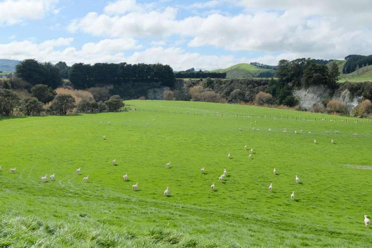 63 Hamilton Road Dannevirke_25