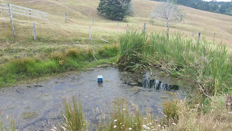 127c Oruawharo Road Topuni_2