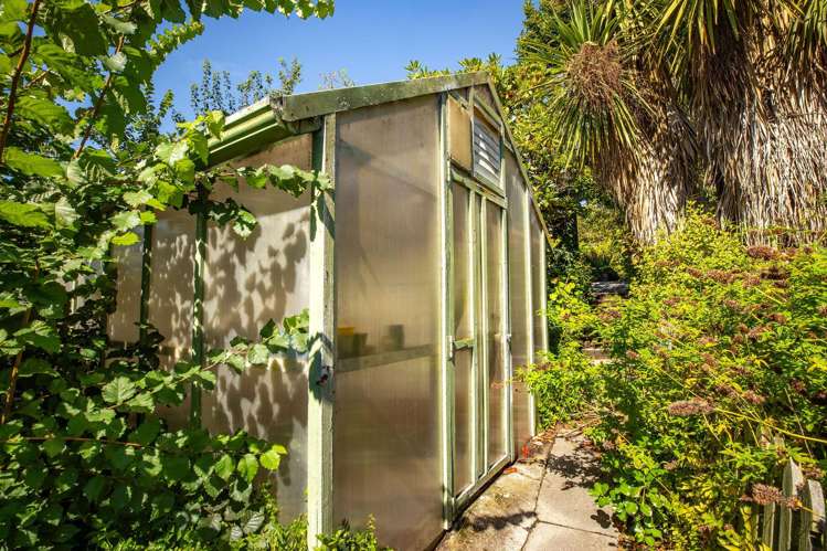 30 Beverley Hill Maori Hill_50