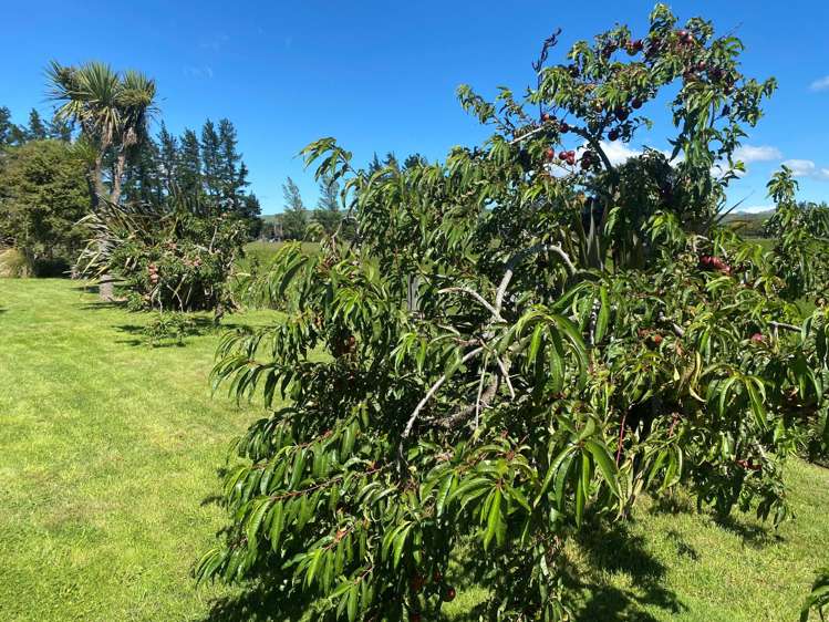 218 Munro Road Cheviot_25