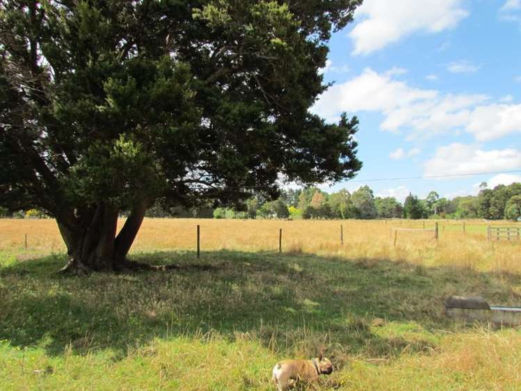 97 Tararua Drive Upper Plain_29