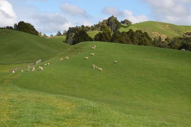 83 Kerr Road Glen Murray_13