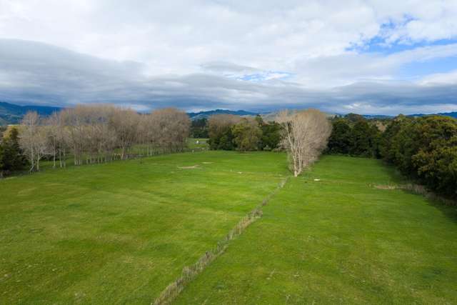 59 Harper Road Hautere_4