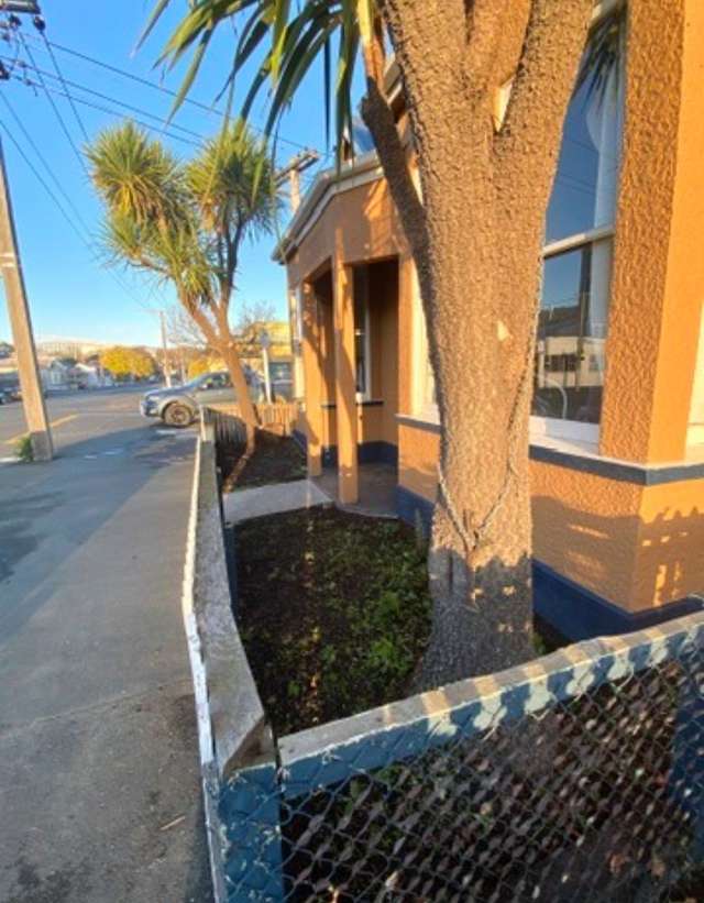 160 Albany Street North Dunedin_2