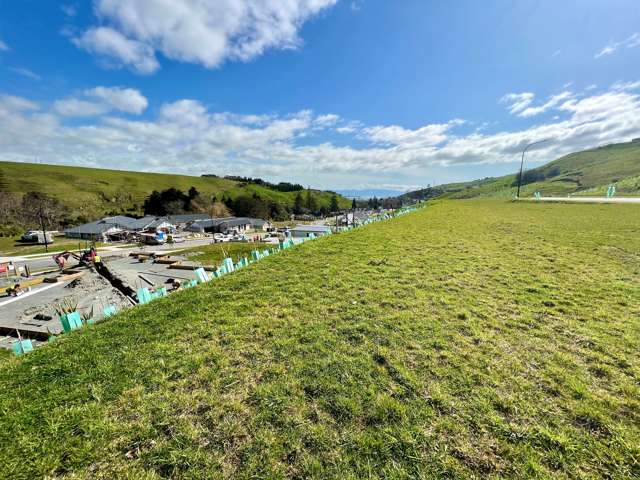 5 Wansford Place (Lot 47 Stag Ridge) Stoke_2