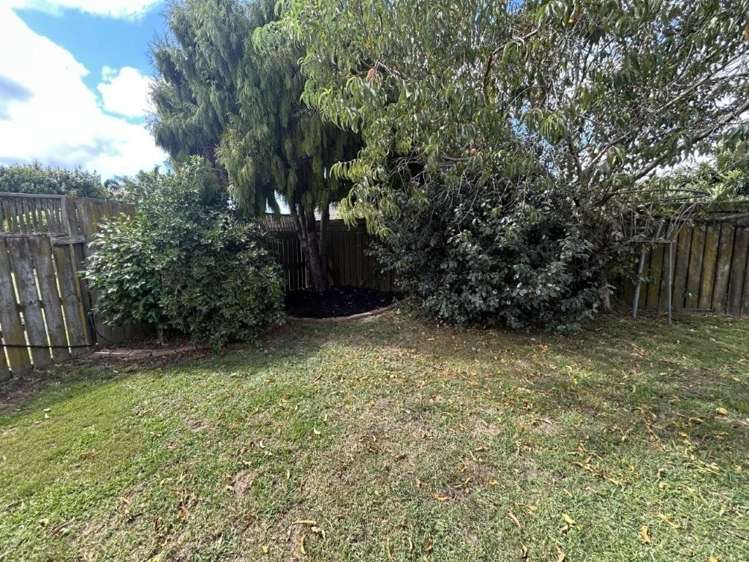 45 Summerland Crescent 1131_22