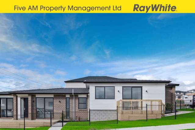 76 Tir Conaill Ave Flat Bush