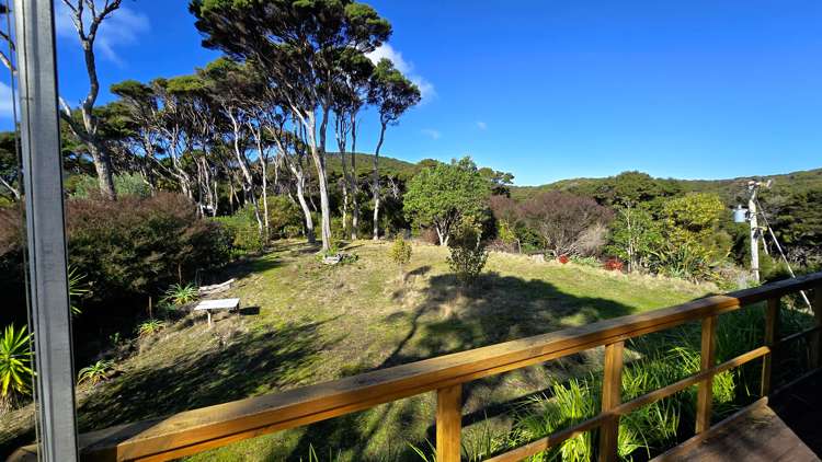 Lot 172 North Cove Kawau Island_7