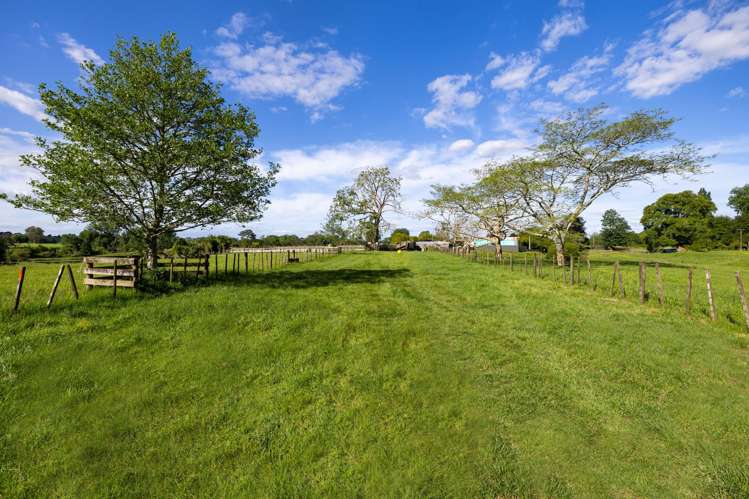 810 Pirongia Road Pirongia_15