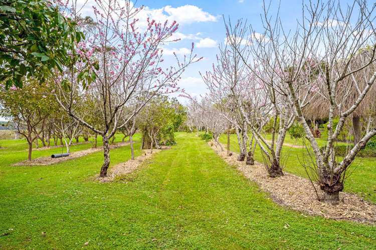 145 Jones Road Omaha_6