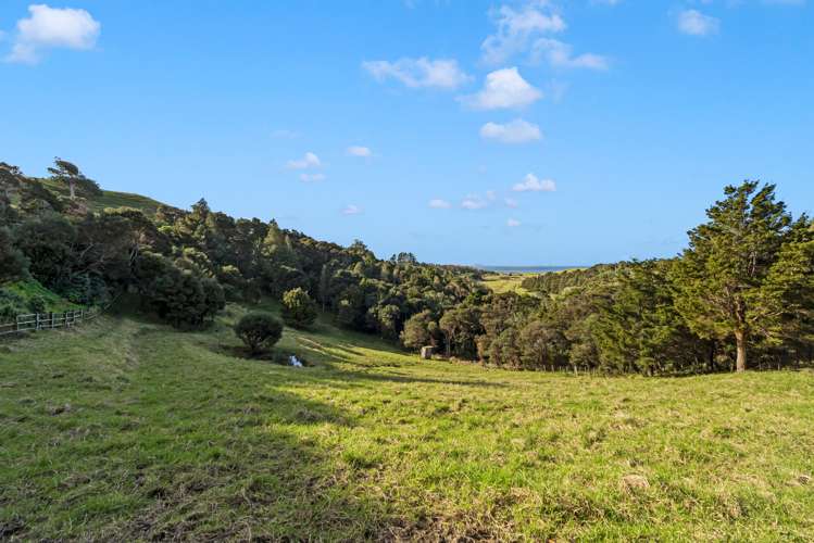 1559 Pataua North Road Pataua_16