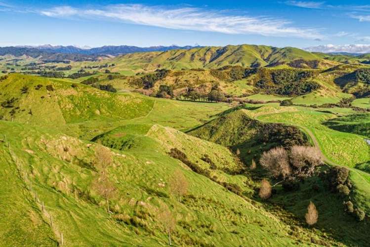 134 Bowen Road Eketahuna_1