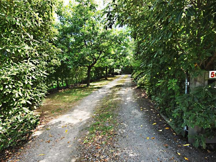 50 Bidwills Cutting Road Greytown_3