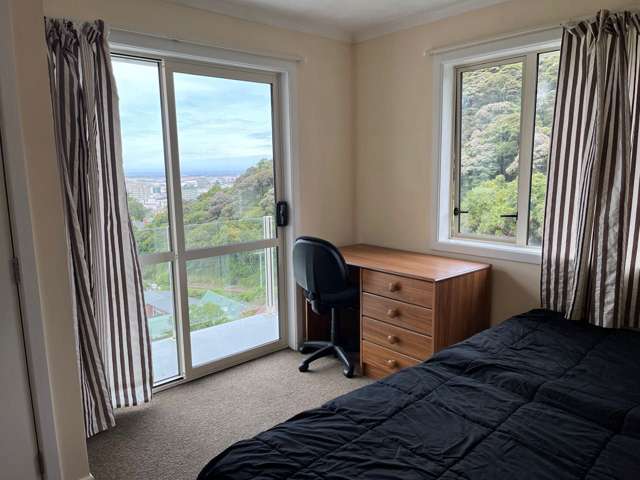 20C Lachlan Avenue North Dunedin_2