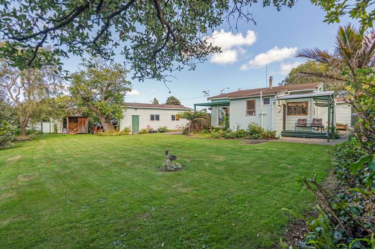 41 High Street Bulls_13