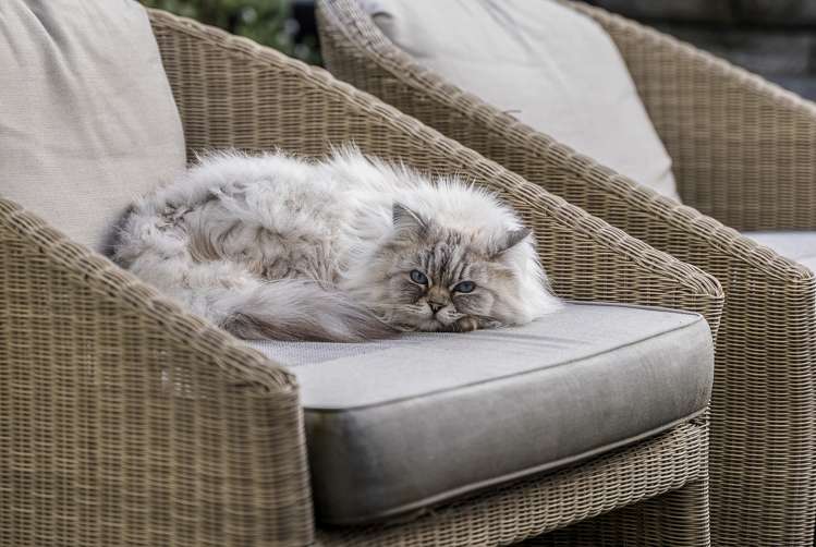 24a Lyndhurst Street Wai O Taiki Bay_12