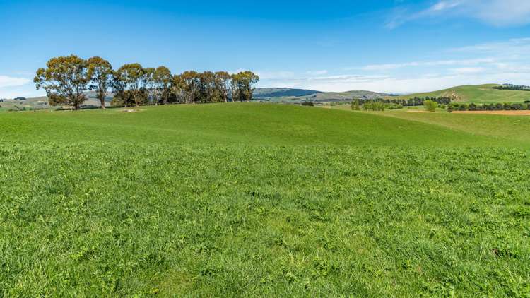 1443 Omihi Road Omihi_38