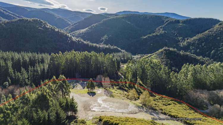 255 Glentui Bush Road Glentui_17