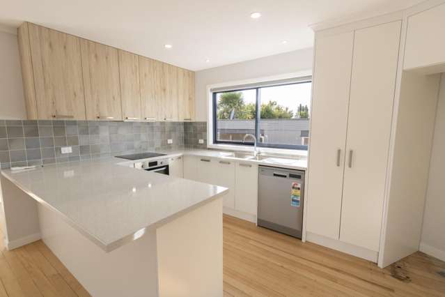 62 Thompson Street 11373_4