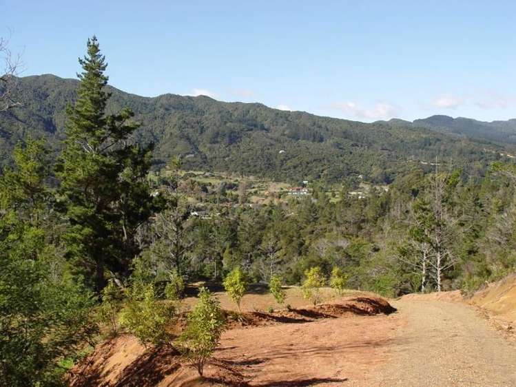 93a Colville Road Coromandel_6