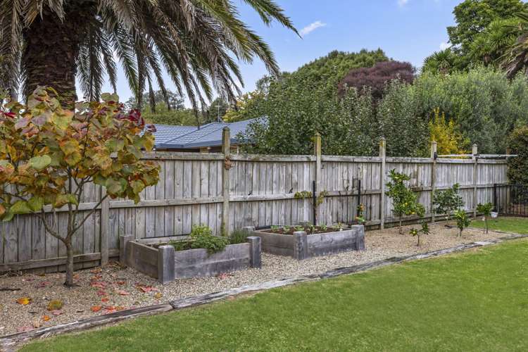 14 Bronte Place Cambridge_28