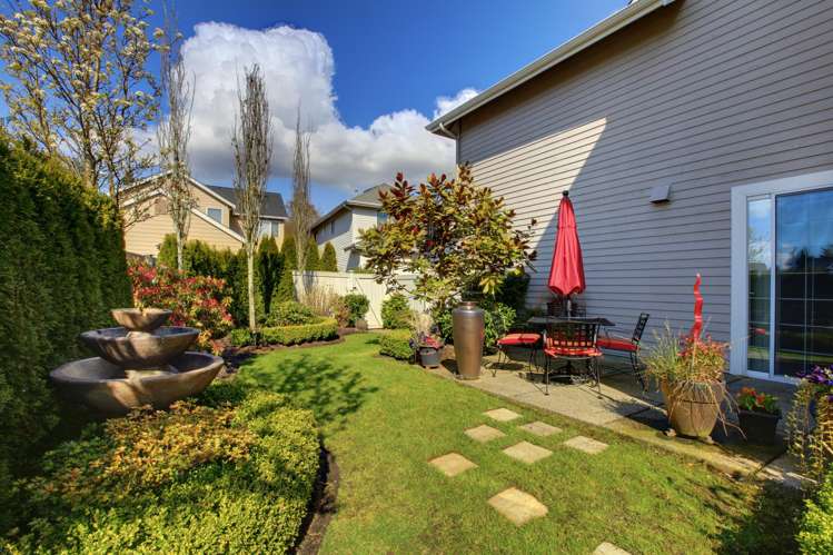 Address withheld Napier Cbd_3