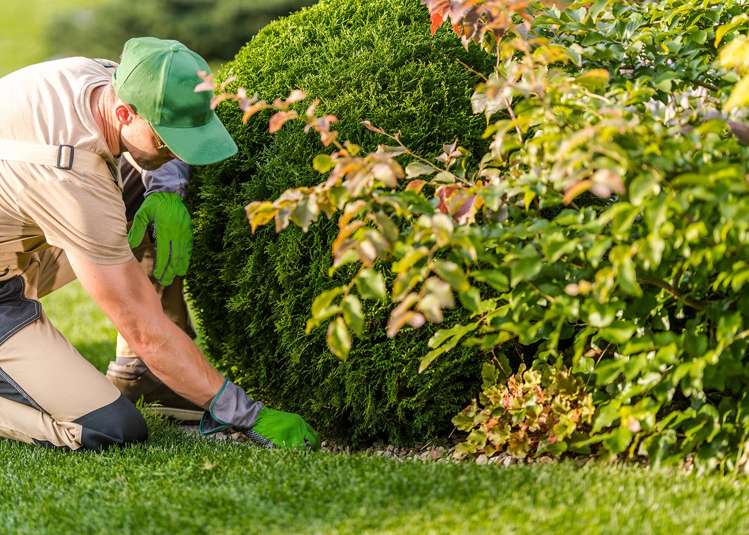 Address withheld Wellington Central_3