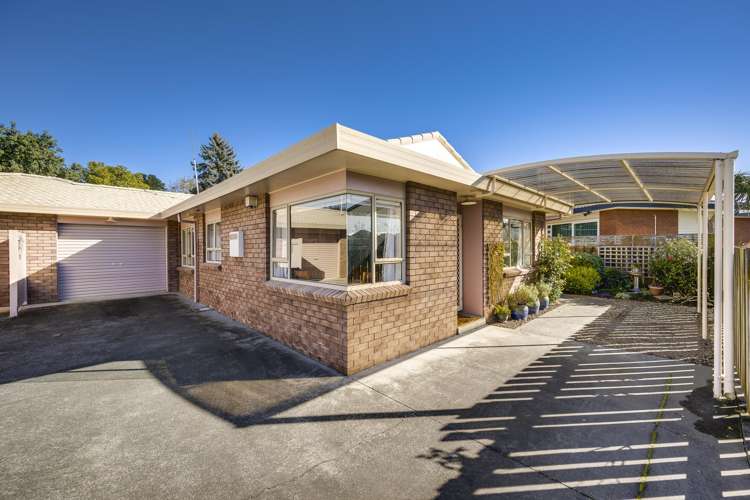 3/427 Gloucester Street Taradale_0