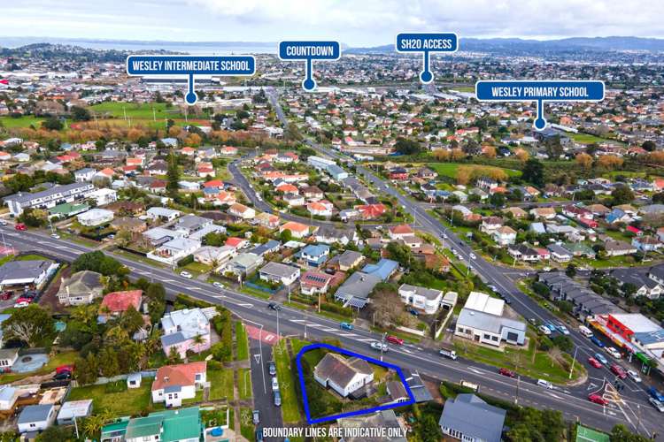 31 Columbia Road Sandringham_17