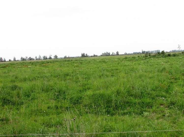 191 Roller Road Oxford_1