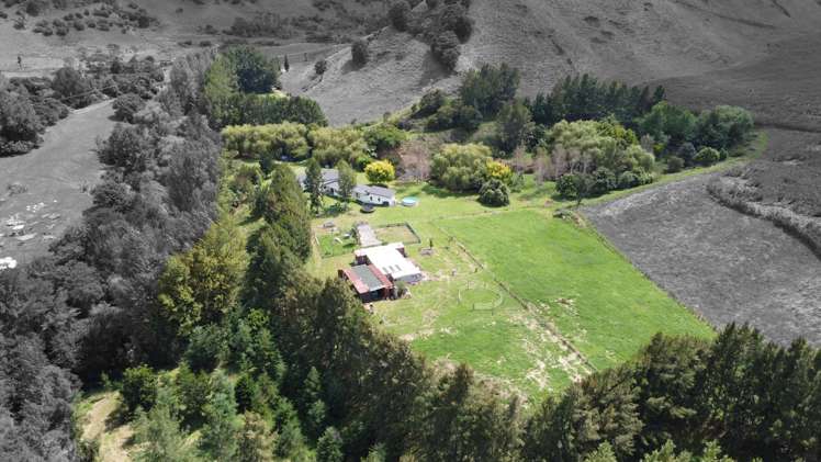 363 Roydon Downs Road Paengaroa_13