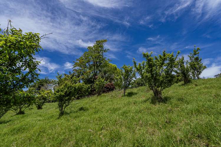 89 Purangi Road Purangi_21