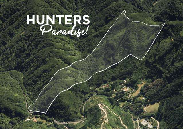 A Hunter’s Paradise