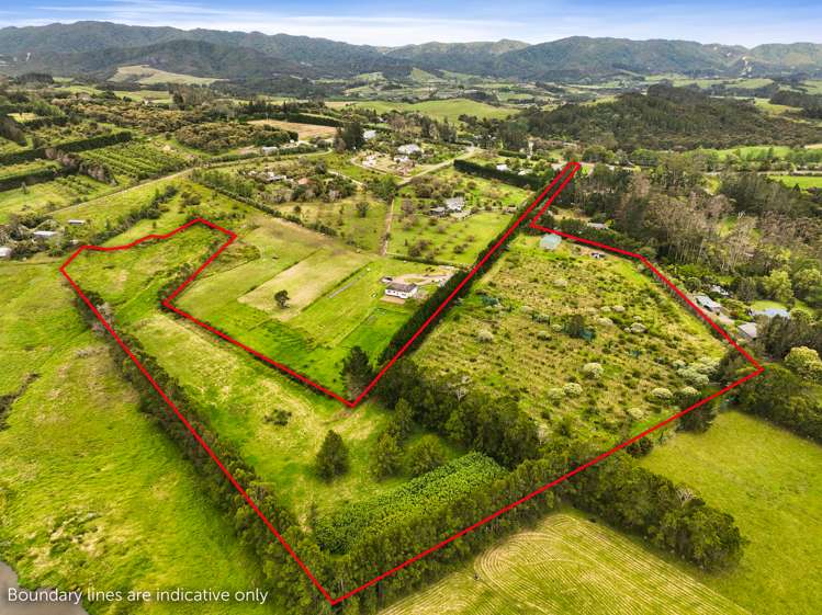 379d Tara Road Mangawhai_11