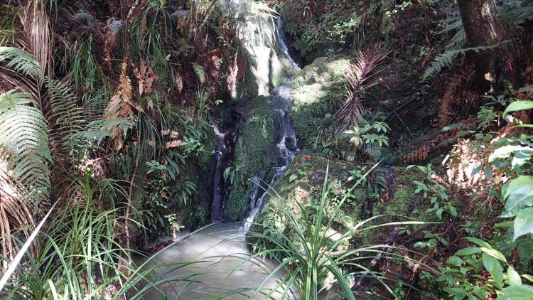 1261 Hukerenui Road_3