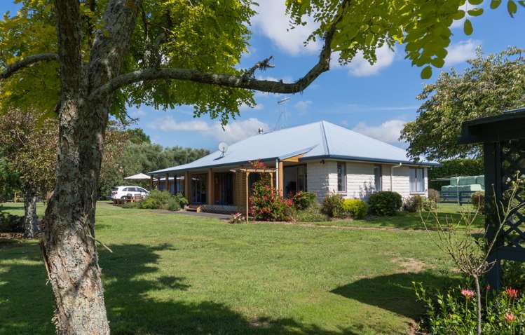 55b Taupata Street Paengaroa_9